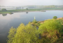 "Arnhem Nederrijn ochtend apr04" door Fruggo, CC BY-SA 3.0 https://upload.wikimedia.org/wikipedia/commons/0/03/Arnhem_Nederrijn_ochtend_apr04.jpg